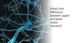 What’s the
difference
between upper
and lower
motor
neurons?
 