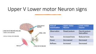 Upper V Lower motor Neuron signs
Area of
examination
Upper motor
Neuron
Lower motor
neuron
Observation Flexed posture Flaccid posture
fasicualtion
Tone Increased tone Reduced tone
Power Decreaesed Decreased
Reflexes Increased Decreased
 