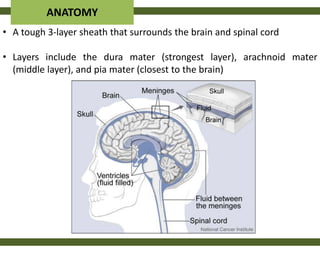 ANATOMY
• A tough 3-layer sheath that surrounds the brain and spinal cord

• Layers include the dura mater (strongest layer), arachnoid mater
  (middle layer), and pia mater (closest to the brain)
 