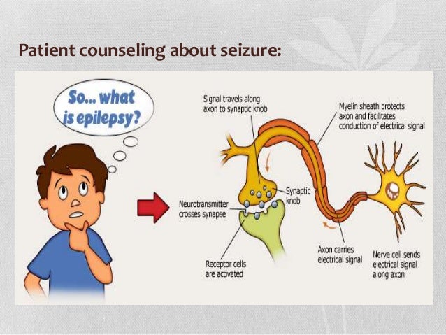 Seizure Disorder Seizure Disorder