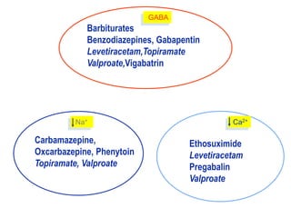 Carbamazepine,
Oxcarbazepine, Phenytoin
Topiramate, Valproate
Ethosuximide
Levetiracetam
Pregabalin
Valproate
Barbiturates
Benzodiazepines, Gabapentin
Levetiracetam,Topiramate
Valproate,Vigabatrin
Na+ Ca2+
GABA
 