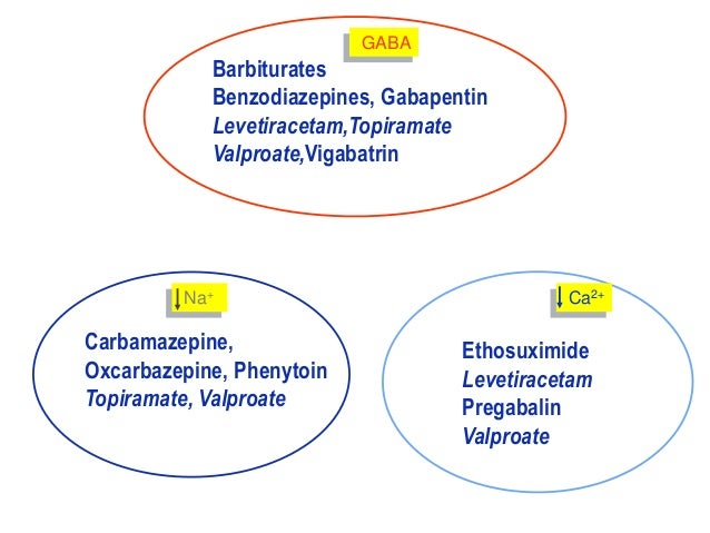 Natural Remedies For Seizure Disorder Natural Remedies For Seizure Disorder
