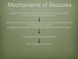 Mechanisms of Seizures
underlying etiologies of epilepsy which include, brain tumors, strokes,
scarring, or mutations of specific genes
repetitive stimulation leads to epilepsy through activation of metabotropic and
ionotropic glutamate receptors
(by glutamate) as well as the tropomyosin-related kinase B (TrkB) receptor
paroxysmal depolarization shift (PDS)
seizure-related neuronal injury
 