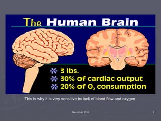 Barry Kidd 2010 2
This is why it is very sensitive to lack of blood flow and oxygen.
 