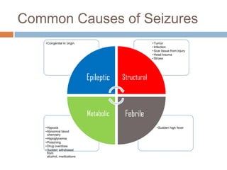 Common Causes of Seizures