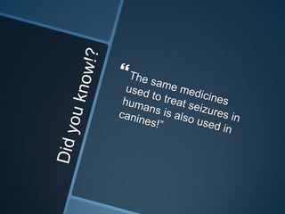 Did you know!?The same medicines used to treat seizures in humans is also used in canines!”