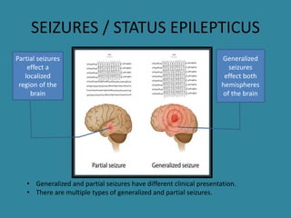 Seizures | PPTX