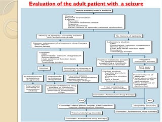 Scheldon Score Comprehensive Overview of Seizures and Epilepsy: Classification, Causes ...