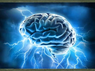 SEIZURES DISORDERS.pptx neuro disorders brain | PPTX
