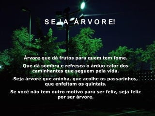 S E J A Á R V O R E!




     Árvore que dá frutos para quem tem fome.
     Que dá sombra e refresca o árduo calor dos
        caminhantes que seguem pela vida.
 Seja árvore que aninha, que acolhe os passarinhos,
              que enfeitam os quintais.
Se você não tem outro motivo para ser feliz, seja feliz
                  por ser árvore.
 