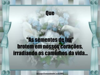 Que



      "As sementes de luz"
  brotem em nossos corações,
irradiando os caminhos da vida...
 