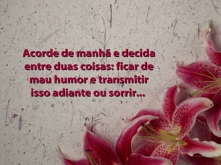 Acorde de manhã e decida entre duas coisas: ficar de mau humor e transmitir isso adiante ou sorrir...  