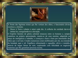 À frente das lágrimas tristes que lhe vertiam dos olhos, o funcionário divino
exortou-o, otimista:
- Desce à Terra e planta o amor cada dia. A colheita da caridade dar-te-á
íntima luz, assegurando-te a elevação.
O Espírito faminto de glória celestial renasceu entre os homens e, sempre
cauteloso na própria apresentação, muniu-se de casa enorme, adquirida ao
preço de inteligência e trabalho, e começou a fazer o bem por intermédio das
mãos que o serviam. Criados numerosos eram mobilizados por ele, na extensão
da bondade aqui e ali. Espalhava alimentação e agasalho, alívio e remédio,
através de largas faixas de solo, explorando com felicidade os negócios
materiais que lhe garantiam preciosa receita.
 