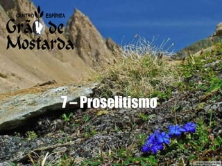 7 – Proselitismo 