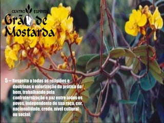 5 –  Respeito a todas as religiões e doutrinas e valorização da prática do bem, trabalhando pela confraternização e paz entre todos os povos, independente de sua raça, cor, nacionalidade, credo, nível cultural ou social; 