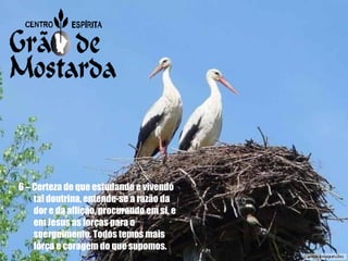 6 – Certeza de que estudando e vivendo tal doutrina, entende-se a razão da dor e da aflição, procurando em si, e em Jesus as forças para o soerguimento. Todos temos mais força e coragem do que supomos. 