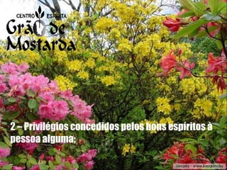 2 – Privilégios concedidos pelos bons espíritos à pessoa alguma; 