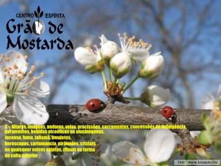 6 – Altares, imagens, andores, velas, procissões, sacramentos, concessões de indulgência, paramentos, bebidas alcoólicas ou alucinógenas, incenso, fumo, talismã, amuletos, horóscopos, cartomancia, pirâmides, cristais, ou quaisquer outros objetos, rituais ou forma de culto exterior ; 