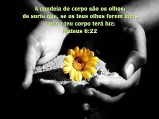 A candeia do corpo são os olhos;de sorte que, se os teus olhos forem bons, todo o teu corpo terá luz; Mateus 6:22 
