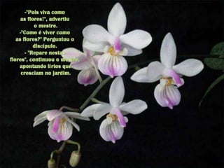 -"Pois viva como as flores!", advertiuo mestre.-"Como é viver como as flores?" Perguntou o discípulo.- "Repare nestas flores", continuou o mestre,apontando lírios quecresciam no jardim. 