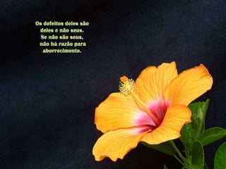 Os defeitos deles são deles e não seus. Se não são seus,não há razão para aborrecimento. 