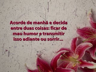 Acorde de manhã e decida entre duas coisas: ficar de mau humor e transmitir isso adiante ou sorrir...  