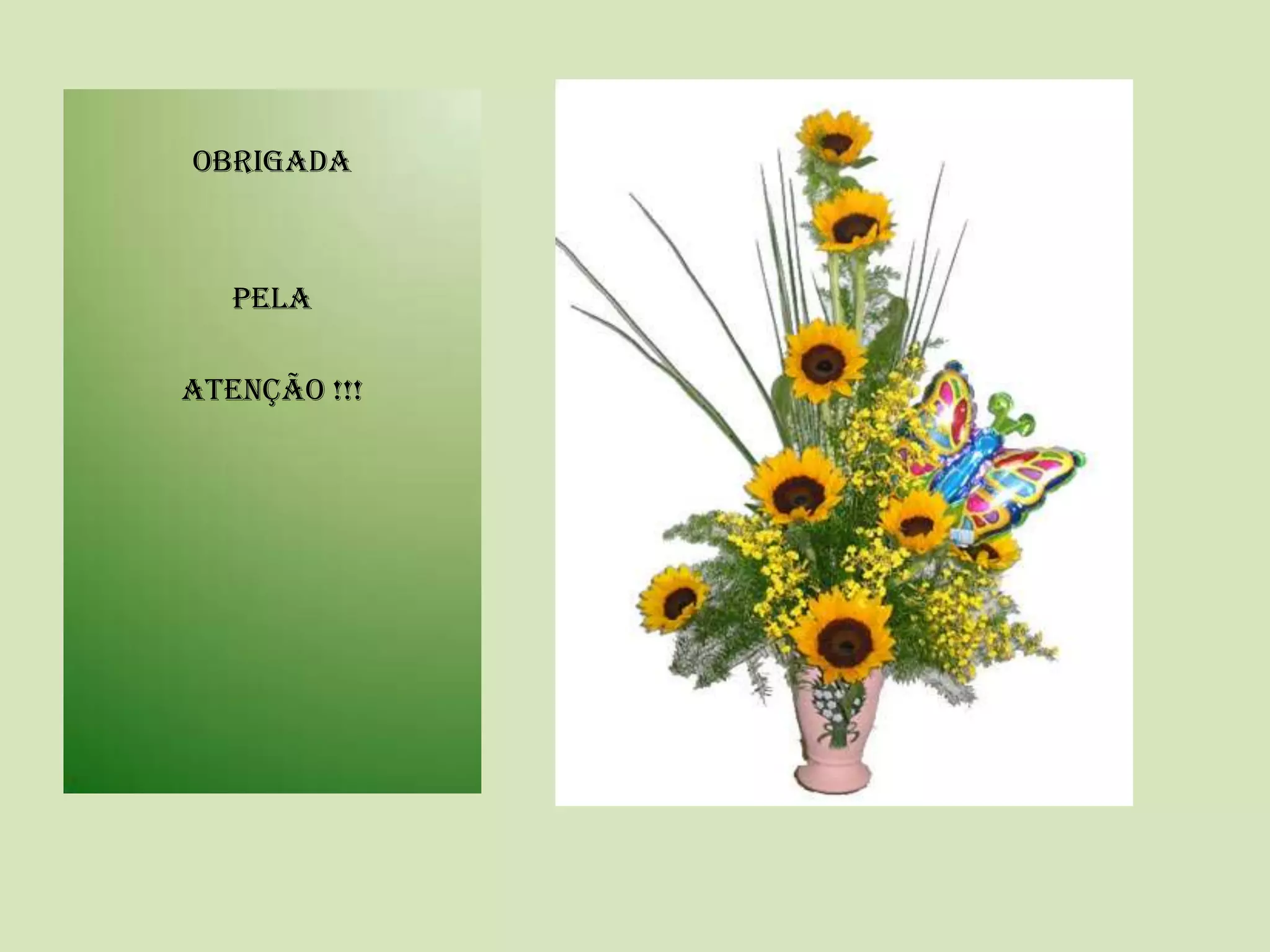 OBRIGADA
PELA
ATENÇÃO !!!