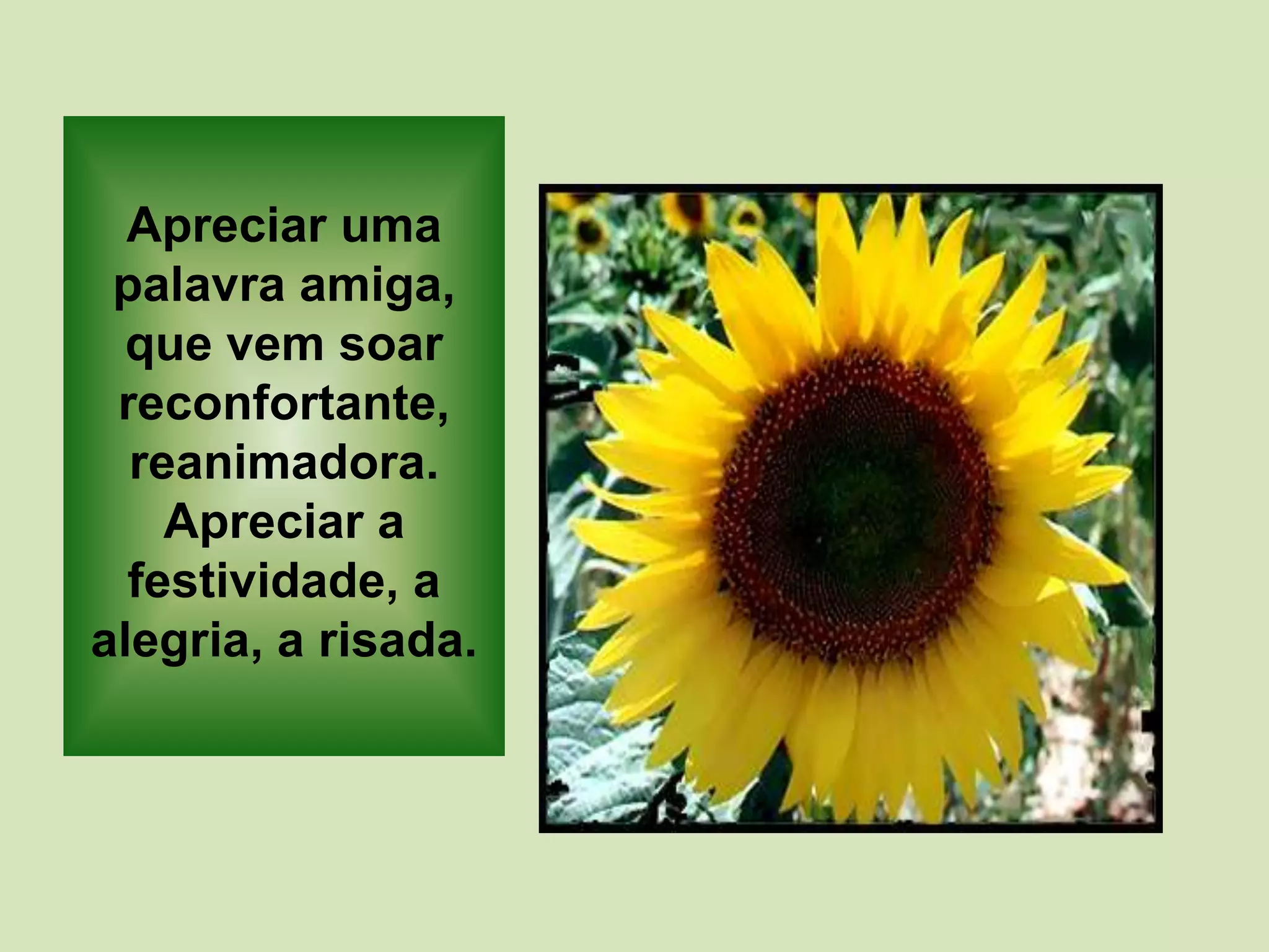 Apreciar uma
palavra amiga,
que vem soar
reconfortante,
reanimadora.
Apreciar a
festividade, a
alegria, a risada.