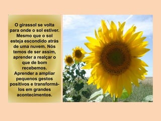 O girassol se volta
para onde o sol estiver.
Mesmo que o sol
esteja escondido atrás
de uma nuvem. Nós
temos de ser assim,
aprender a realçar o
que de bom
recebemos.
Aprender a ampliar
pequenos gestos
positivos e transformá-
los em grandes
acontecimentos.
 