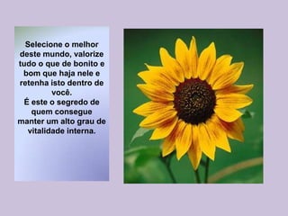 Selecione o melhor
deste mundo, valorize
tudo o que de bonito e
bom que haja nele e
retenha isto dentro de
você.
É este o segredo de
quem consegue
manter um alto grau de
vitalidade interna.
 