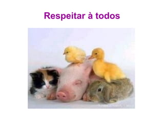 Respeitar à todos 