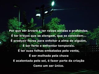 Por que ser árvore é ter raízes sólidas e profundas. É ter braços que se alongam, que se estendem... É produzir flores para enfeitar a alma de alguém, É ser forte e enfrentar temporais. É ter suas folhas embaladas pelo vento, É ser molhada pela chuva E acalentada pelo sol, é fazer parte da criação Como um ser único. 