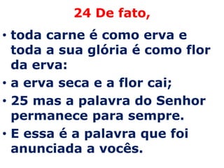 24 De fato,
• toda carne é como erva e
  toda a sua glória é como flor
  da erva:
• a erva seca e a flor cai;
• 25 mas a palavra do Senhor
  permanece para sempre.
• E essa é a palavra que foi
  anunciada a vocês.
 
