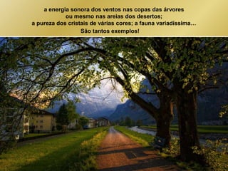a energia sonora dos ventos nas copas das árvores 
ou mesmo nas areias dos desertos; 
a pureza dos cristais de várias cores; a fauna variadíssima… 
São tantos exemplos! 
 