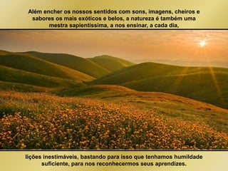 Além encher os nossos sentidos com sons, imagens, cheiros e 
sabores os mais exóticos e belos, a natureza é também uma 
mestra sapientíssima, a nos ensinar, a cada dia, 
lições inestimáveis, bastando para isso que tenhamos humildade 
suficiente, para nos reconhecermos seus aprendizes. 
 
