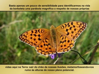 Basta apenas um pouco de sensibilidade para identificarmos na vida 
da borboleta uma parábola magnífica a respeito de nossas próprias 
vidas aqui na Terra: sair do chão de nossas ilusões, metamorfoseando-nos 
rumo às alturas de nosso pleno potencial. 
 