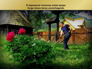 É impossível vivermos muito tempo 
longe desse berço aconchegante. 
 