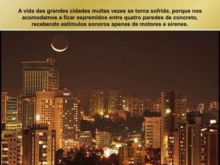 A vida das grandes cidades muitas vezes se torna sofrida, porque nos 
acomodamos a ficar espremidos entre quatro paredes de concreto, 
recebendo estímulos sonoros apenas de motores e sirenes. 
 