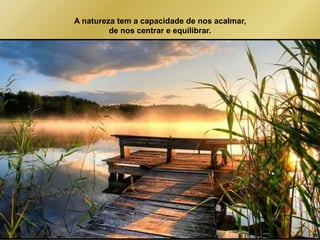 A natureza tem a capacidade de nos acalmar, 
de nos centrar e equilibrar. 
 