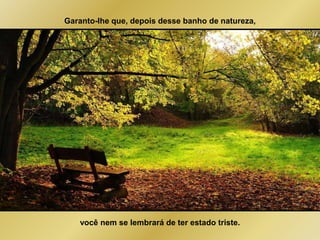 Garanto-lhe que, depois desse banho de natureza, 
você nem se lembrará de ter estado triste. 
 