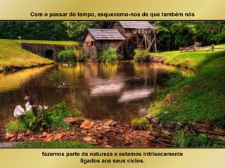 Com o passar do tempo, esquecemo-nos de que também nós 
fazemos parte da natureza e estamos intrisecamente 
ligados aos seus ciclos. 
 