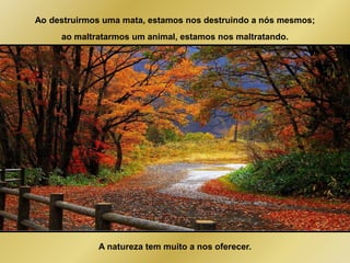 Ao destruirmos uma mata, estamos nos destruindo a nós mesmos; 
ao maltratarmos um animal, estamos nos maltratando. 
A natureza tem muito a nos oferecer. 
 
