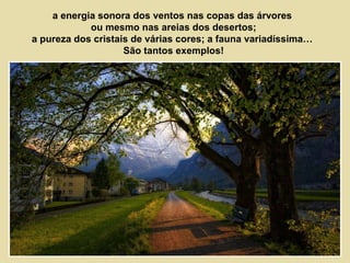 a energia sonora dos ventos nas copas das árvores 
ou mesmo nas areias dos desertos; 
a pureza dos cristais de várias cores; a fauna variadíssima… 
São tantos exemplos! 
 