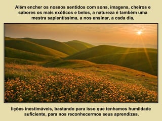 Além encher os nossos sentidos com sons, imagens, cheiros e 
sabores os mais exóticos e belos, a natureza é também uma 
mestra sapientíssima, a nos ensinar, a cada dia, 
lições inestimáveis, bastando para isso que tenhamos humildade 
suficiente, para nos reconhecermos seus aprendizes. 
 