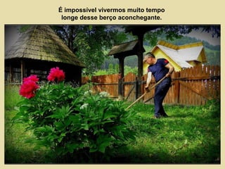 É impossível vivermos muito tempo 
longe desse berço aconchegante. 
 