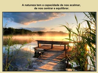 A natureza tem a capacidade de nos acalmar, 
de nos centrar e equilibrar. 
 