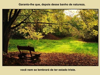 Garanto-lhe que, depois desse banho de natureza, 
você nem se lembrará de ter estado triste. 
 