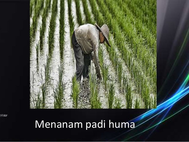 Kegiatan Ekonomi Sarawak
