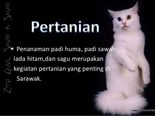 Kegiatan Ekonomi Sarawak