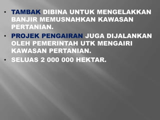 • TAMBAK DIBINA UNTUK MENGELAKKAN 
BANJIR MEMUSNAHKAN KAWASAN 
PERTANIAN. 
• PROJEK PENGAIRAN JUGA DIJALANKAN 
OLEH PEMERINTAH UTK MENGAIRI 
KAWASAN PERTANIAN. 
• SELUAS 2 000 000 HEKTAR. 
 
